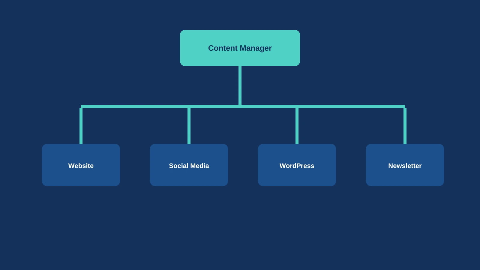 Content Manager verteilt Inhalte auf Website, Social Media, WordPress und Newsletter